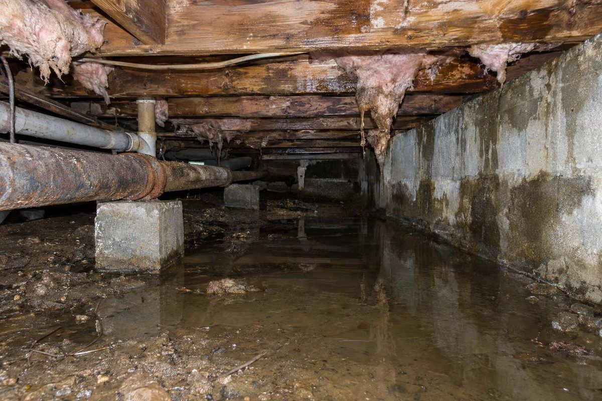 Wet, muddy crawl space, before